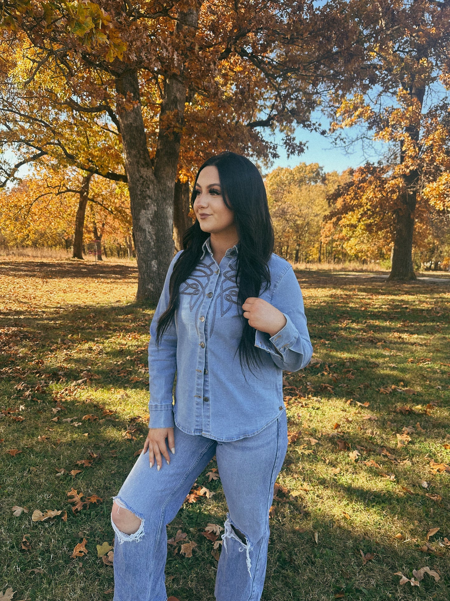 Boot Stitch Denim Button Down