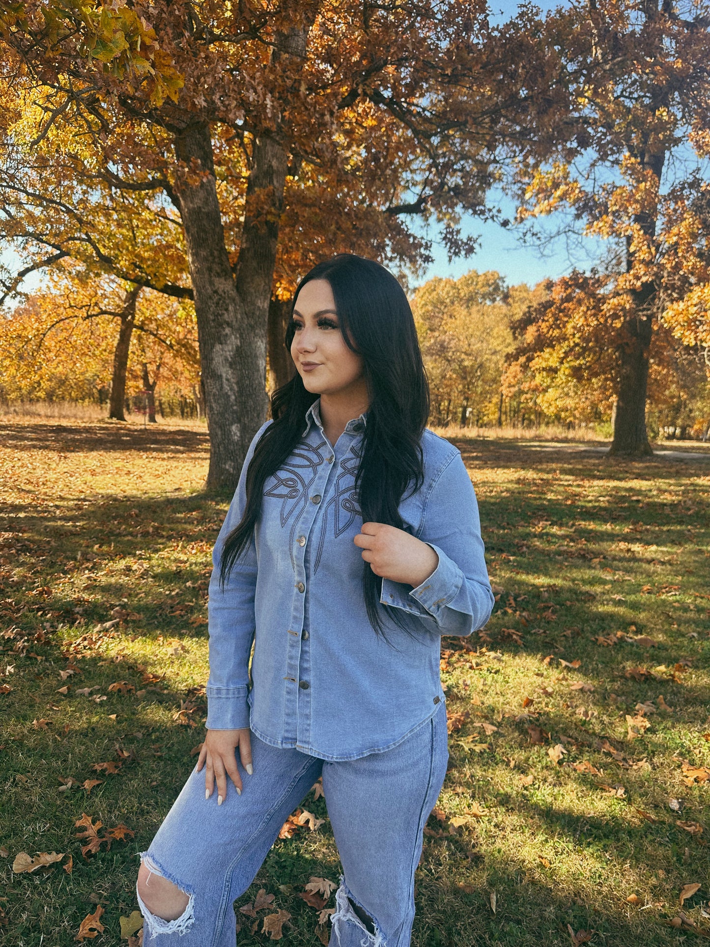 Boot Stitch Denim Button Down