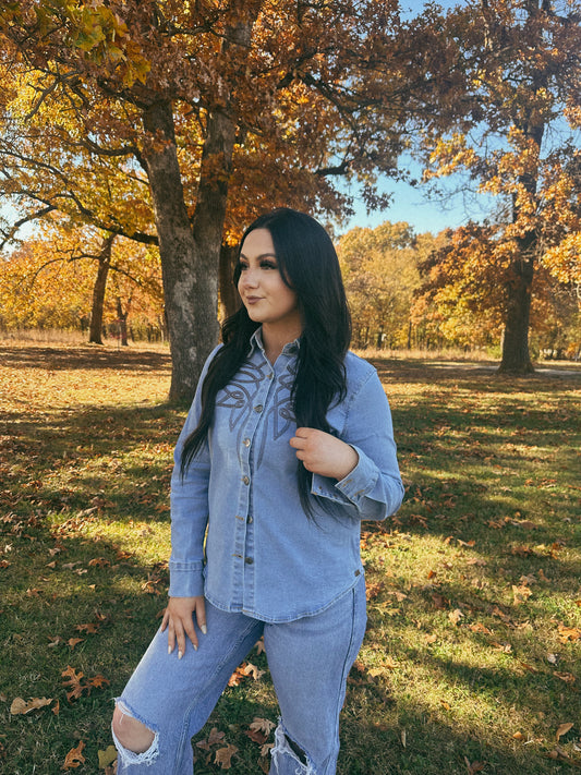 Boot Stitch Denim Button Down